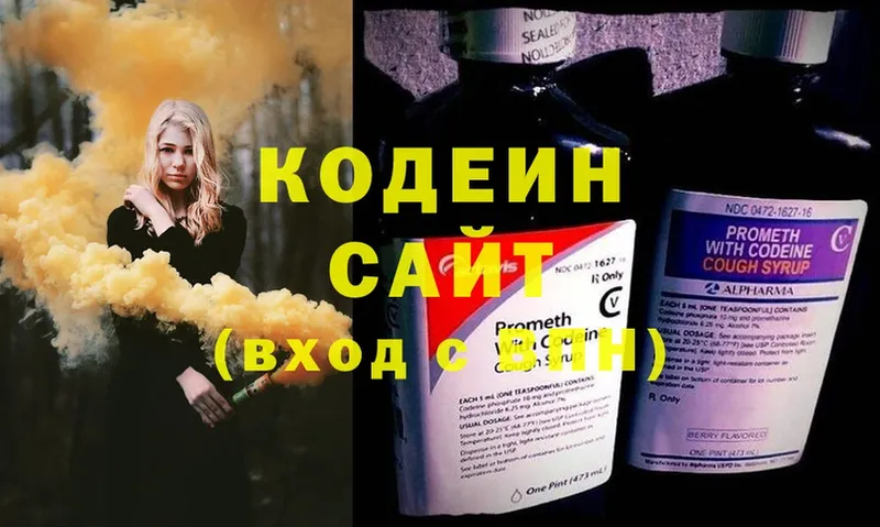 дарнет шоп  Гусиноозёрск  Кодеин Purple Drank 